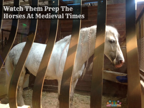 medieval horse