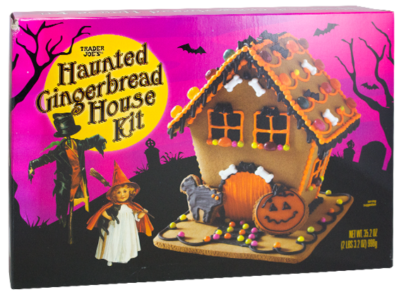 53542-haunted-gingerbread-house-kit