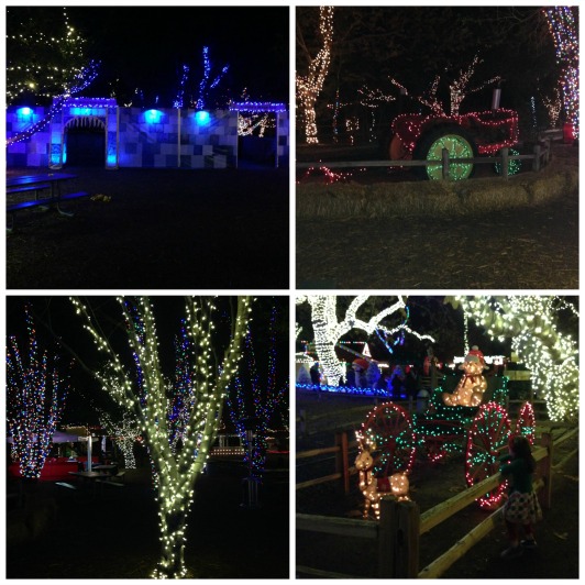 Irvine Park Christmas Train is a Magical Time Family Review Guide