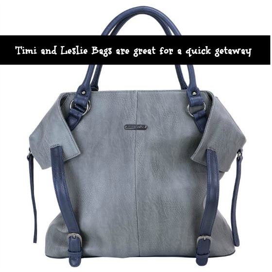 timi & leslie these chic Diaper Bags are perfect for any Mom!