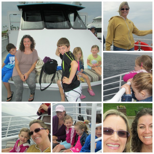 Whale Watching on the boat