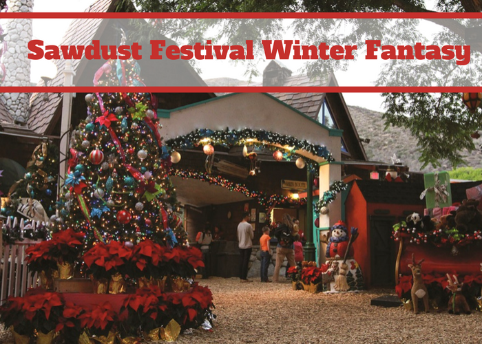 Sawdust Festival Winter Fantasy + A Giveaway Family Review Guide