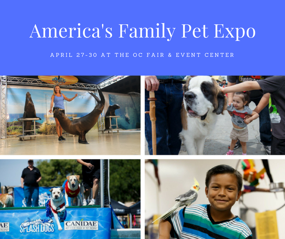 America's Family Pet Expo + A Giveaway Family Review Guide