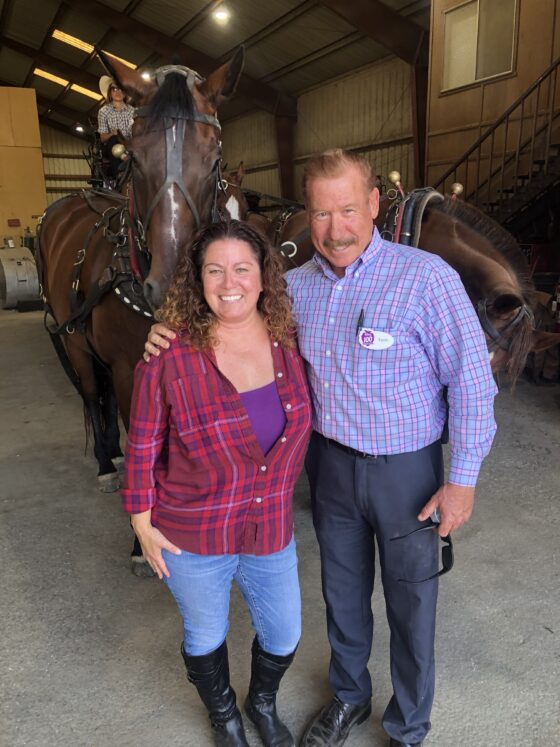 Meet The Horses of Knott's Berry Farm + Stagecoach Facts - Family ...